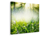 Canvas print Magic Forest
