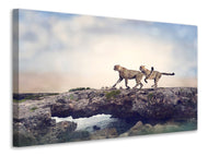 Canvas print Two Cheetahs