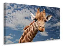 Load image into Gallery viewer, Canvas print Attention giraffe!
