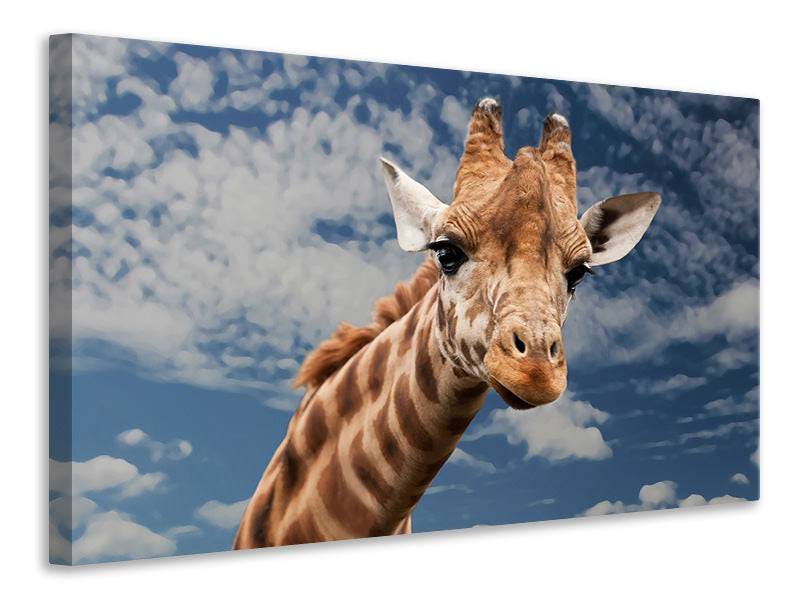 Canvas print Attention giraffe!