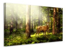 Load image into Gallery viewer, Canvas print Attention deer
