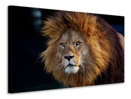 Canvas print Attention lion