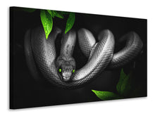 Load image into Gallery viewer, Canvas print Attention snake

