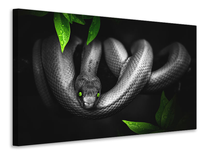 Canvas print Attention snake