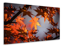 Load image into Gallery viewer, Canvas print Maple leaves in autumn
