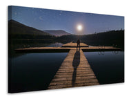 Canvas print Alone at full moon