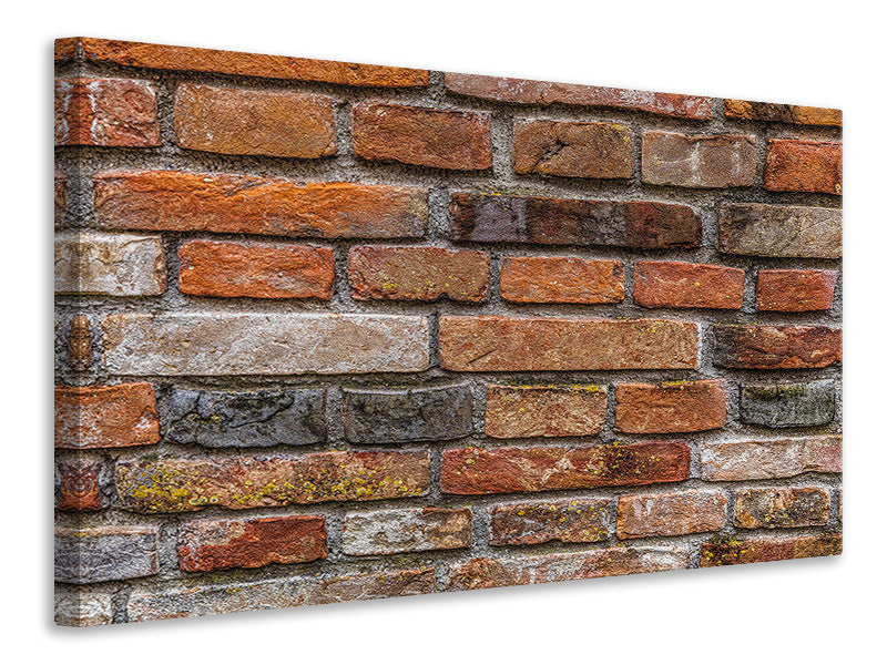 Canvas print Old clinker