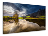 Canvas print At the edge of the forest