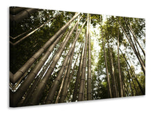 Load image into Gallery viewer, Canvas print Arashiyama Japan
