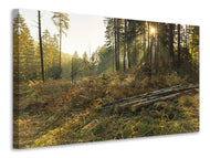 Canvas print Working in the woods