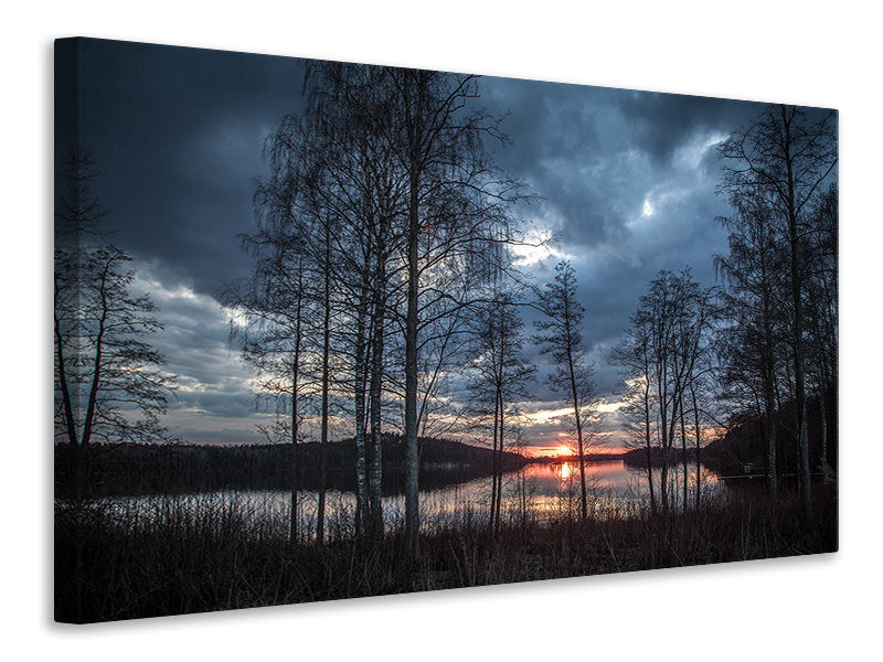 Canvas print Trees at the lake