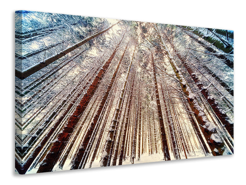 Canvas print Trees in the snow