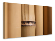 Canvas print Bamboo Close up