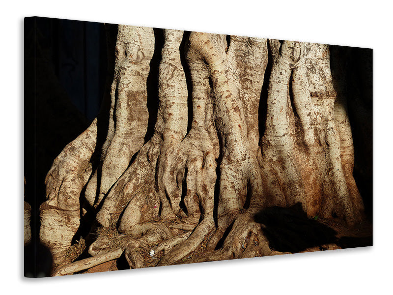 Canvas print Tree Close Up