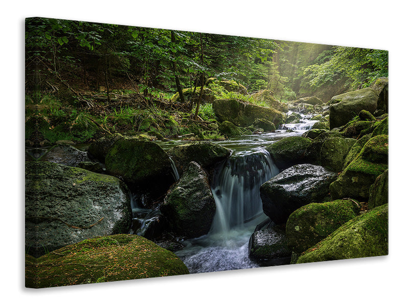 Canvas print Calming view