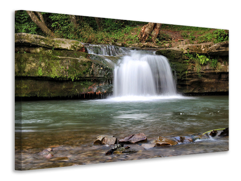 Canvas print Best view of the waterfall