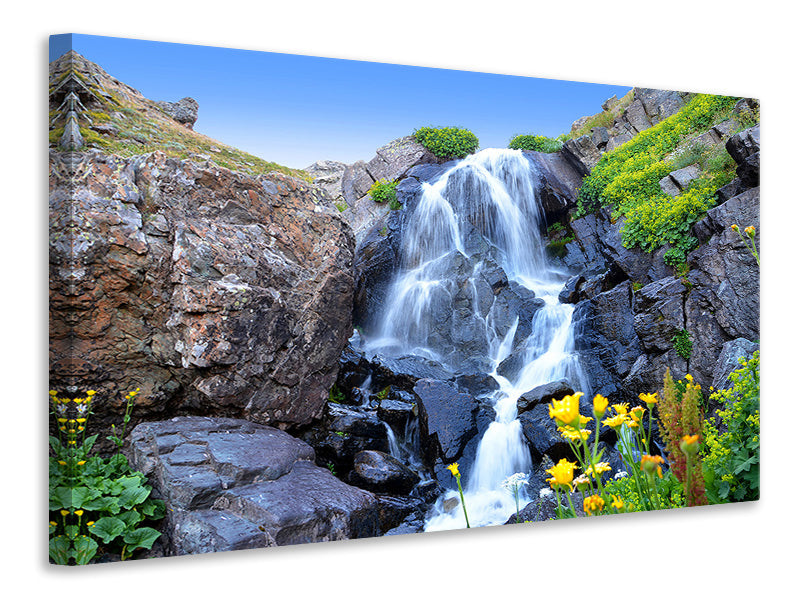 Canvas print Moving waterfall