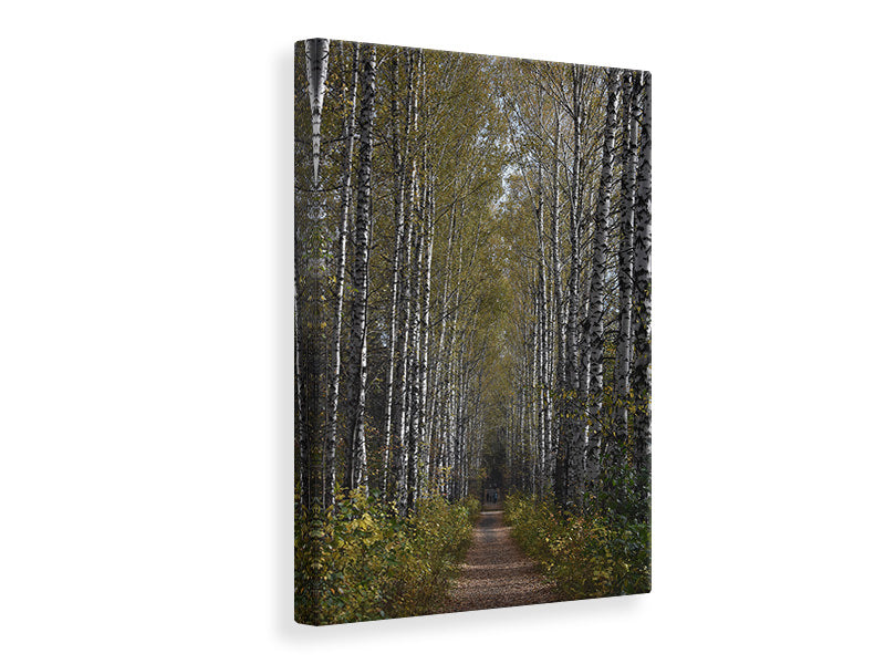 Canvas print Birch avenue