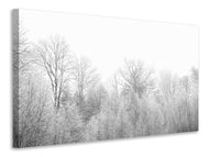 Canvas print Birches in the snow