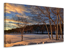 Load image into Gallery viewer, Canvas print Birches in the winter

