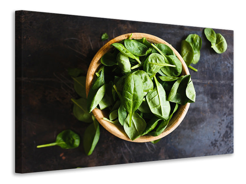 Canvas print Leaves of basil