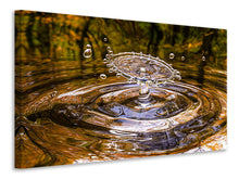 Load image into Gallery viewer, Canvas print blubb
