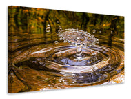Canvas print blubb
