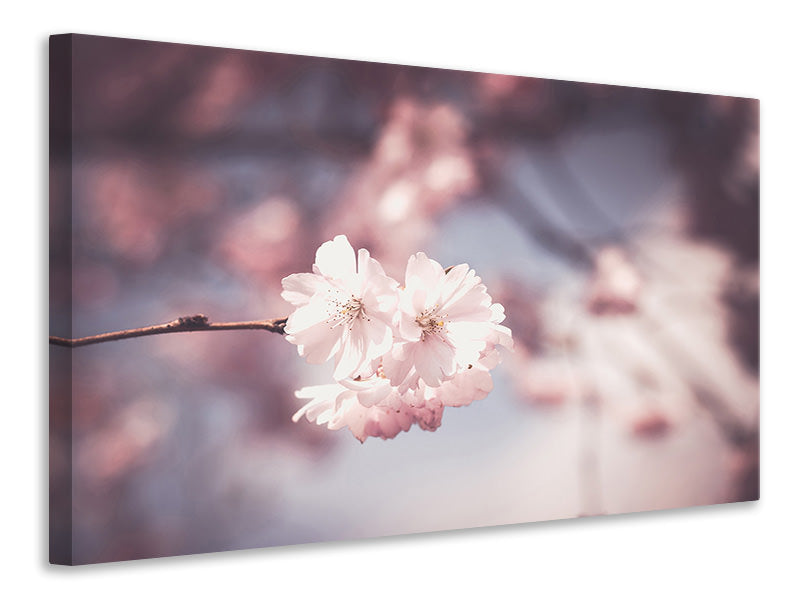 Canvas print Flower XL