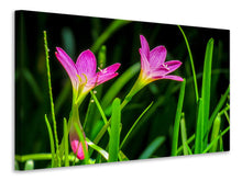 Load image into Gallery viewer, Canvas print Flowers in nature
