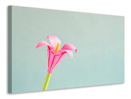 Canvas print Flowers origami