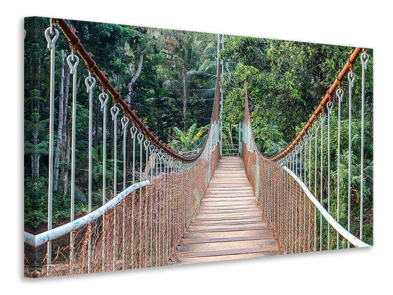Canvas print Bridge for the brave
