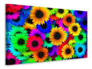 Canvas print Colorful sunflowers