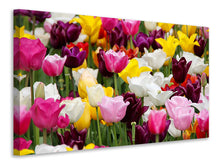 Load image into Gallery viewer, Canvas print Colorful tulip field
