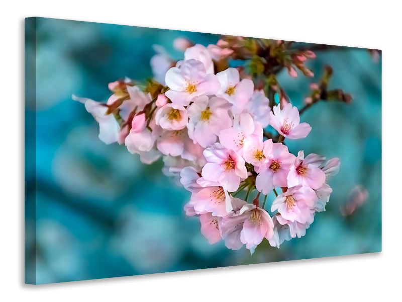 Canvas print Close up flower