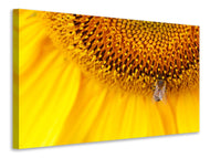 Canvas print Close up yellow bud