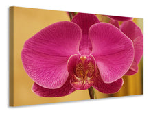 Load image into Gallery viewer, Canvas print Close up orchid in pink
