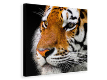 Load image into Gallery viewer, Canvas print Close up tiger head
