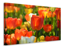 Load image into Gallery viewer, Canvas print Close up tulip field
