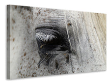 Load image into Gallery viewer, Canvas print The eye of the horse
