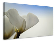 Load image into Gallery viewer, Canvas print The leaf of a lily blossom
