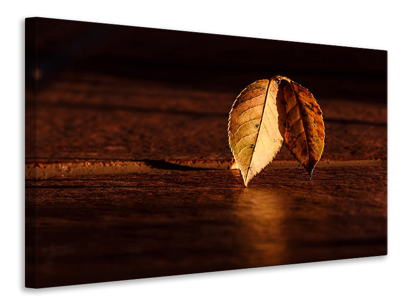 Canvas print The leaf