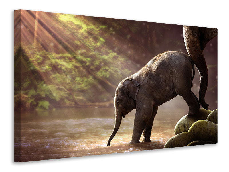 Canvas print The elephant baby