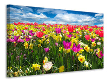 Load image into Gallery viewer, Canvas print The spring awakening
