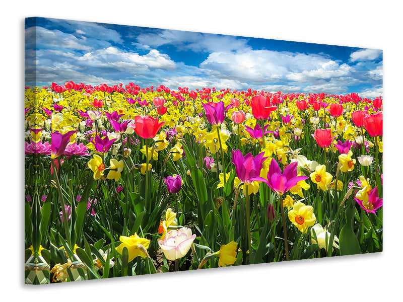 Canvas print The spring awakening