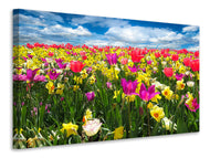 Canvas print The spring awakening