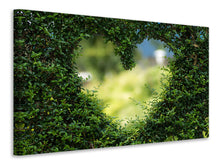 Load image into Gallery viewer, Canvas print The heart in the hedge
