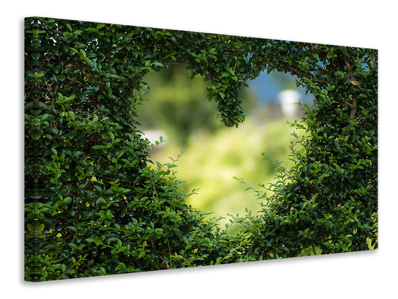 Canvas print The heart in the hedge