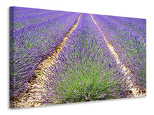Load image into Gallery viewer, Canvas print The lavender field
