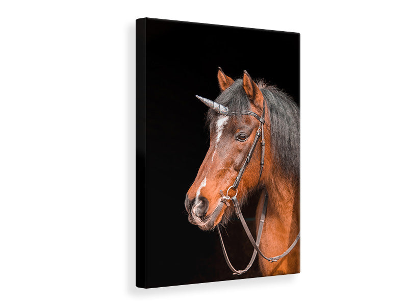 Canvas print The last Unicorn