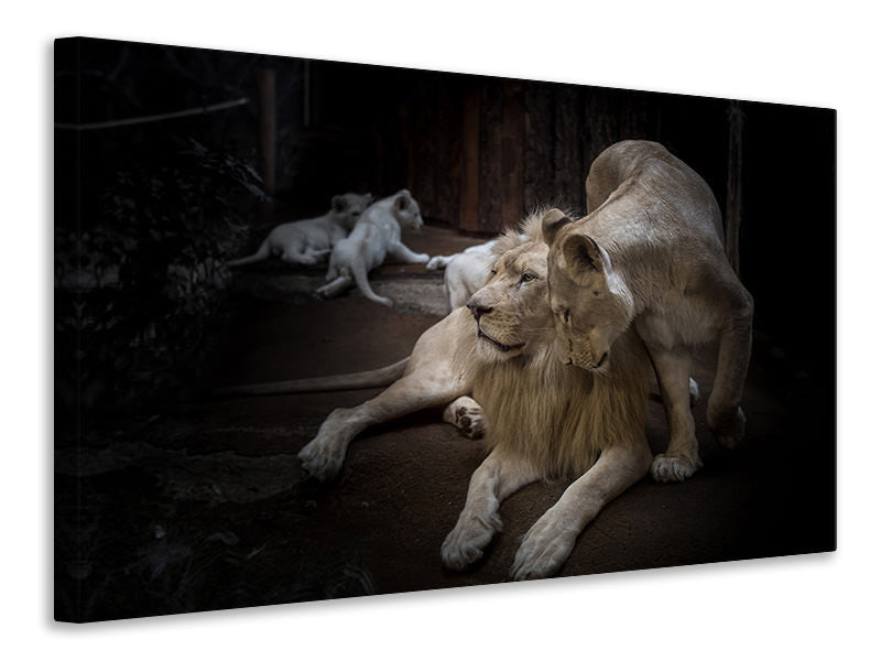 Canvas print The lion couple